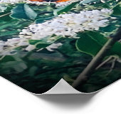 Roter Admiral Schmetterling Poster (Ecke)