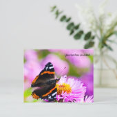 Roter Admiral Schmetterling Postkarte (Stehend Vorderseite)