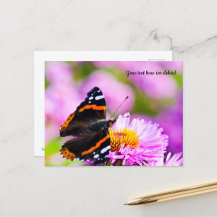Roter Admiral Schmetterling Postkarte