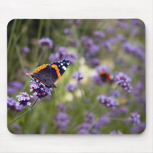 Roter Admirals-Schmetterling Mousepad (Vorne)