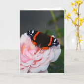 Roter Admiralschmetterling Karte (Gelbe Blume)
