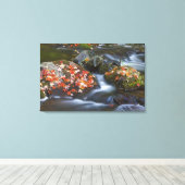 Roter Ahorn Blätter Teppichboden aus den Felsen in Leinwanddruck (Insitu (Holzboden))