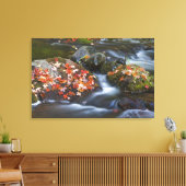 Roter Ahorn Blätter Teppichboden aus den Felsen in Leinwanddruck (Insitu (Wohnzimmer))