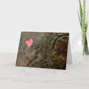 Roter Ahorn Floating Karte