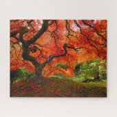 Roter Ahorn im Herbst im japanischen Garten Portla Puzzle (Horizontal)