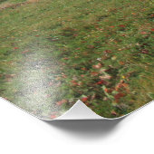 Roter Ahornbaum im Herbst Fotodruck (Ecke)