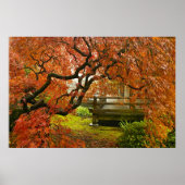 Roter Ahornbaum im japanischen Garten Poster (Vorne)