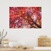 Roter Ahornbaum Poster (Küche)