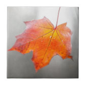 Roter Ahornleaf - Mystischer Herbst Fliese (Vorderseite)
