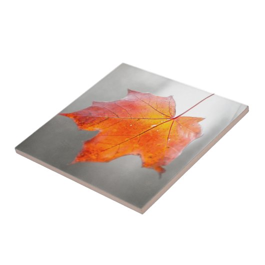 Roter Ahornleaf - Mystischer Herbst Fliese (Seite)