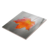 Roter Ahornleaf - Velvet Herbst Fliese (Seite)