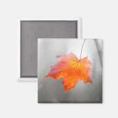 Roter Ahornleaf - Velvet Herbst Magnet (Vorderseite/Rückseite)
