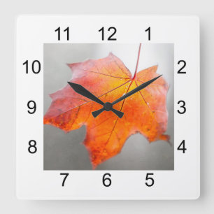 Roter Ahornleaf - Velvet Herbst Quadratische Wanduhr