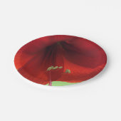 Roter Amaryllis-Blumen-Papier-Teller Pappteller (Schrägansicht)