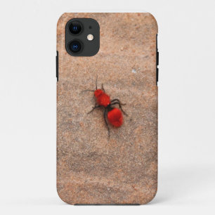 roter Ameisenwespe iphone Kasten 11 Hülle