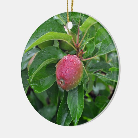 Roter Apfel auf Baum Keramik Ornament (Links)