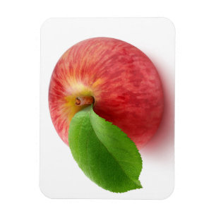 Roter Apfelanblick Magnet