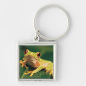 Roter Augenbaumfrosch Schlüsselanhänger (Vorne)