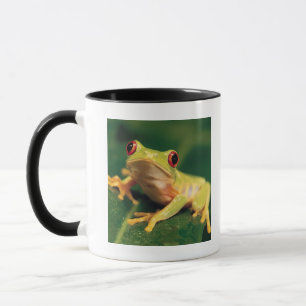 Roter Augenbaumfrosch Tasse