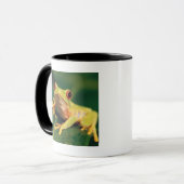 Roter Augenbaumfrosch Tasse (Vorderseite Links)