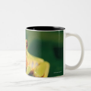 Roter Augenbaumfrosch Zweifarbige Tasse