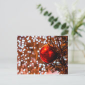 Roter Ball, weiße Beleuchtungsleuchten Postkarte (Stehend Vorderseite)