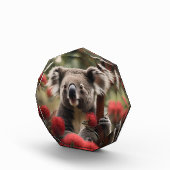 Roter Banksienbaum mit Koala-Bär, Fotoblock (Rechts)