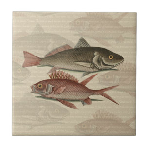 Roter Barsch Fischermann Kunst Fliese