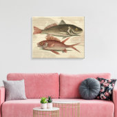 Roter Barsch Fischermann Kunst Leinwanddruck (Insitu (Wohnzimmer))