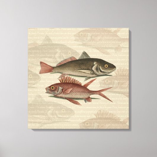 Roter Barsch Fischermann Kunst Leinwanddruck (Vorderseite)