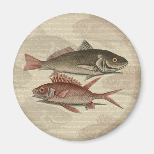 Roter Barsch Fischermann Kunst Magnet (Vorne)