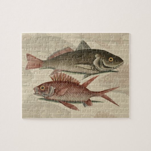 Roter Barsch Fischermann Kunst Puzzle (Horizontal)
