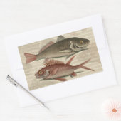 Roter Barsch Fischermann Kunst Rechteckiger Aufkleber (Umschlag)