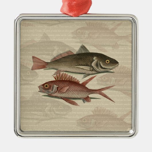 Roter Barsch Fischermann Kunst Silbernes Ornament (Vorne)