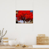 Roter Baum mit Wolken Poster (Küche)