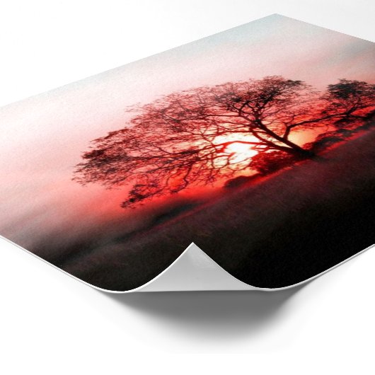 Roter Baum Poster (Ecke)