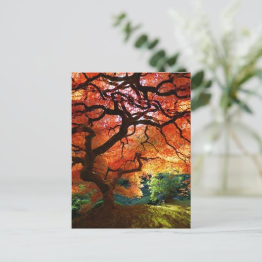 Roter Baum Postkarte (Stehend Vorderseite)