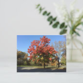Roter Baum Postkarte (Stehend Vorderseite)