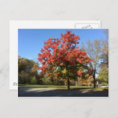 Roter Baum Postkarte (Vorne/Hinten)