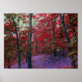 Roter Baumbestand-Poster Poster (Vorne)