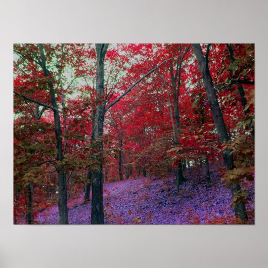 Roter Baumbestand-Poster Poster (Vorne)