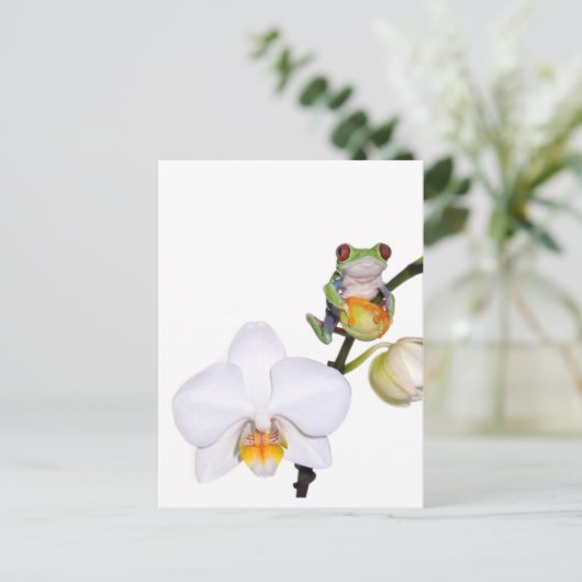 Roter Baumfrosch auf der Orchidee Postkarte (Stehend Vorderseite)