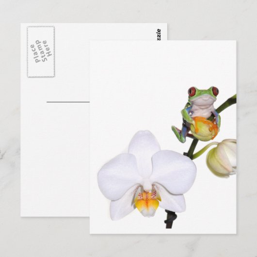 Roter Baumfrosch auf der Orchidee Postkarte (Vorne/Hinten)
