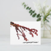 Roter Baumzweig mit Erinnerungen Postkarte (Stehend Vorderseite)