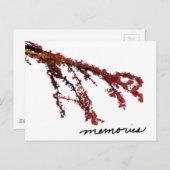 Roter Baumzweig mit Erinnerungen Postkarte (Vorne/Hinten)