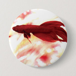 Roter Betta Button