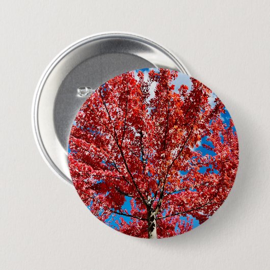 Roter Blätterbaum im Herbst Button (Vorne & Hinten)
