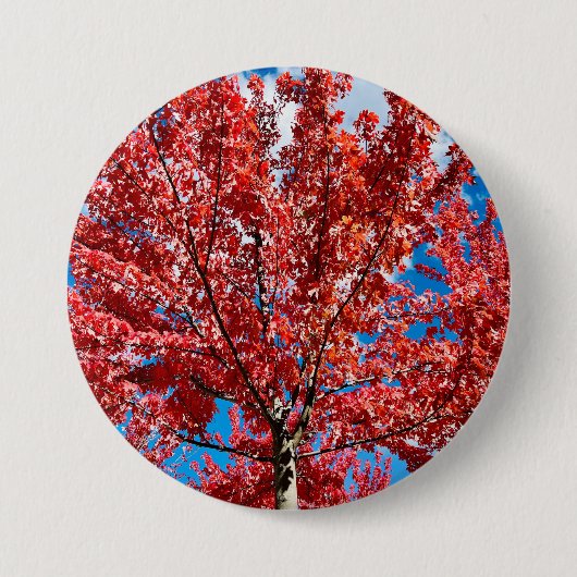 Roter Blätterbaum im Herbst Button (Vorderseite)