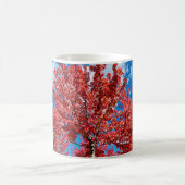 Roter Blätterbaum im Herbst Kaffeetasse (Mittel)