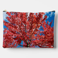 Roter Blätterbaum im Herbst